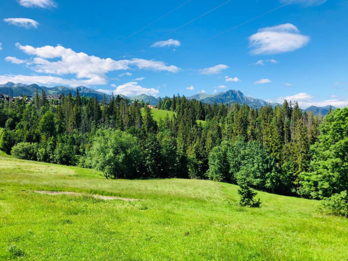Апартаменты Tatrzanska Polana 5F Закопане Экстерьер фото